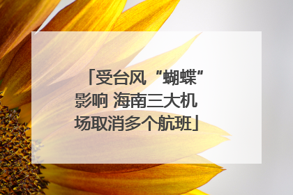 受台风“蝴蝶”影响 海南三大机场取消多个航班