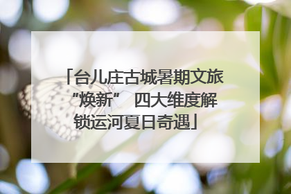 台儿庄古城暑期文旅“焕新” 四大维度解锁运河夏日奇遇