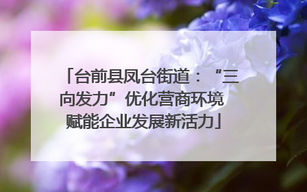 台前县凤台街道：“三向发力”优化营商环境 赋能企业发展新活力
