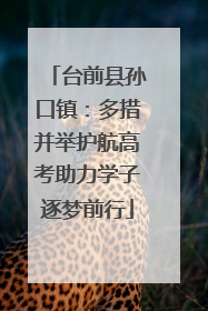 台前县孙口镇：多措并举护航高考助力学子逐梦前行