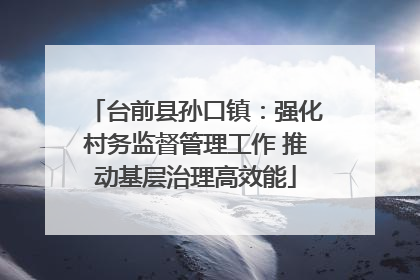台前县孙口镇：强化村务监督管理工作 推动基层治理高效能