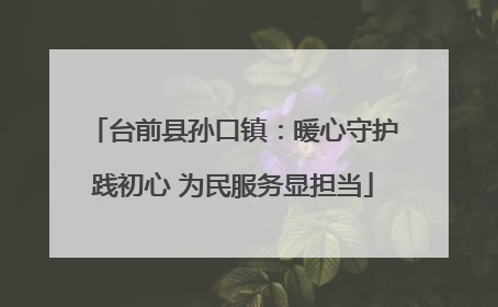 台前县孙口镇：暖心守护践初心 为民服务显担当