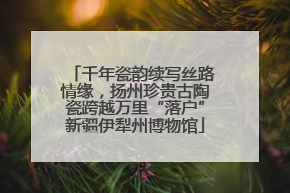 千年瓷韵续写丝路情缘，扬州珍贵古陶瓷跨越万里“落户”新疆伊犁州博物馆