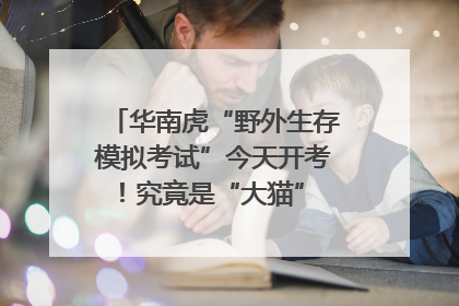 华南虎“野外生存模拟考试”今天开考！究竟是“大猫” 还是顶级猎食者？