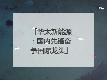 华太新能源：国内先锋奋争国际龙头