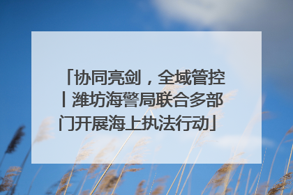 协同亮剑，全域管控丨潍坊海警局联合多部门开展海上执法行动