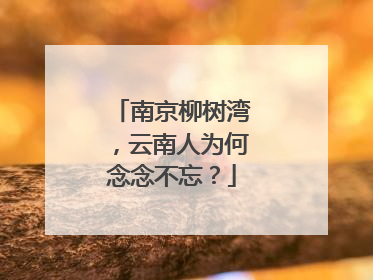 南京柳树湾，云南人为何念念不忘？