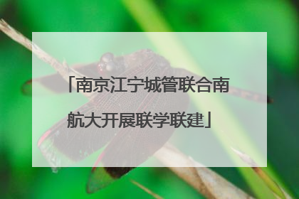 南京江宁城管联合南航大开展联学联建