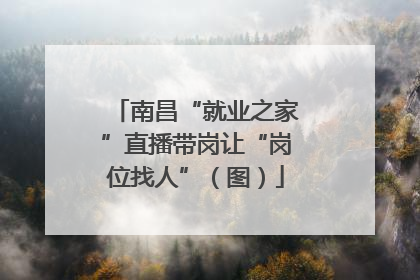 南昌“就业之家”直播带岗让“岗位找人”（图）