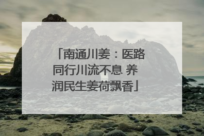 南通川姜：医路同行川流不息 养润民生姜荷飘香