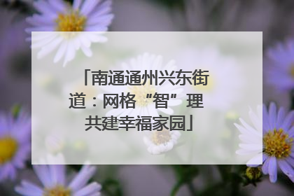 南通通州兴东街道：网格“智”理 共建幸福家园