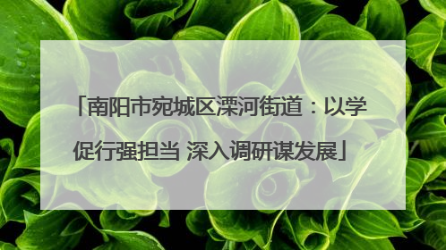 南阳市宛城区溧河街道：以学促行强担当 深入调研谋发展