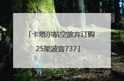 卡塔尔航空放弃订购25架波音737