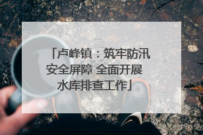卢峰镇：筑牢防汛安全屏障 全面开展水库排查工作