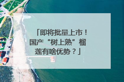 即将批量上市！国产“树上熟”榴莲有啥优势？