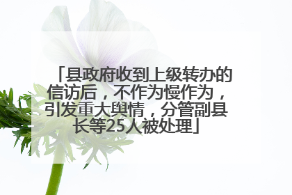 县政府收到上级转办的信访后，不作为慢作为，引发重大舆情，分管副县长等25人被处理