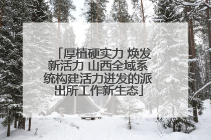 厚植硬实力 焕发新活力 山西全域系统构建活力迸发的派出所工作新生态