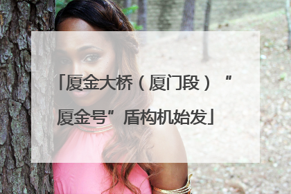 厦金大桥（厦门段）“厦金号”盾构机始发