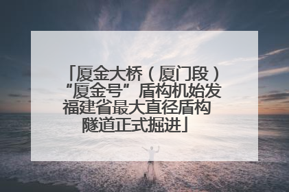 厦金大桥（厦门段）“厦金号”盾构机始发 福建省最大直径盾构隧道正式掘进