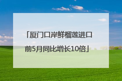 厦门口岸鲜榴莲进口 前5月同比增长10倍