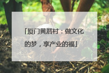 厦门黄厝村：做文化的梦，享产业的福