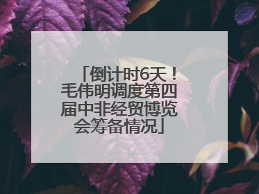 倒计时6天！毛伟明调度第四届中非经贸博览会筹备情况
