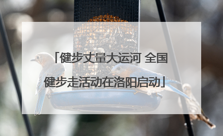 健步丈量大运河 全国健步走活动在洛阳启动