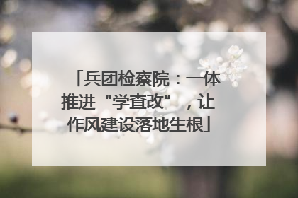 兵团检察院：一体推进“学查改”，让作风建设落地生根