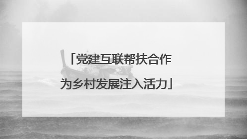 党建互联帮扶合作 为乡村发展注入活力