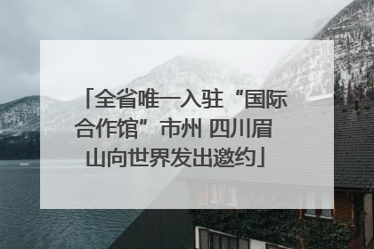 全省唯一入驻“国际合作馆”市州 四川眉山向世界发出邀约