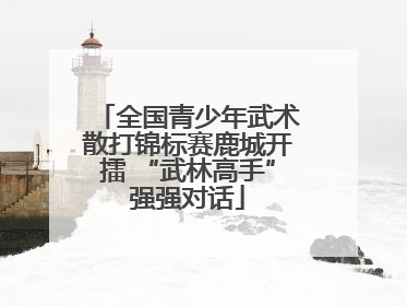 全国青少年武术散打锦标赛鹿城开擂 “武林高手”强强对话