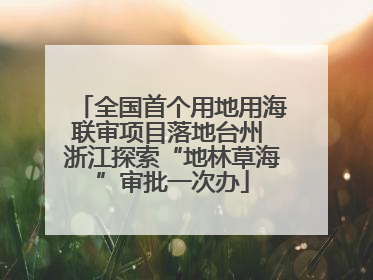 全国首个用地用海联审项目落地台州 浙江探索“地林草海”审批一次办