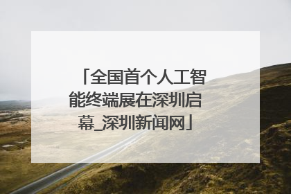 全国首个人工智能终端展在深圳启幕_深圳新闻网