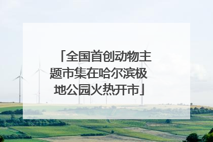 全国首创动物主题市集在哈尔滨极地公园火热开市
