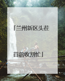 兰州新区头茬苜蓿收割忙