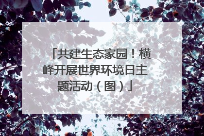 共建生态家园！横峰开展世界环境日主题活动（图）