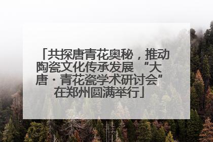 共探唐青花奥秘，推动陶瓷文化传承发展 “大唐・青花瓷学术研讨会”在郑州圆满举行