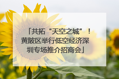 共拓“天空之城”！黄陂区举行低空经济深圳专场推介招商会