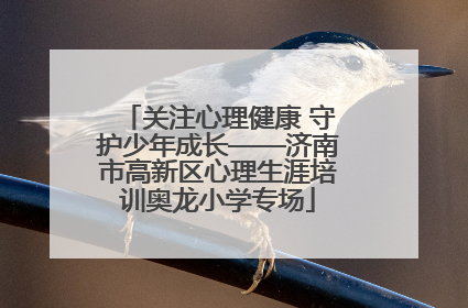 关注心理健康 守护少年成长——济南市高新区心理生涯培训奥龙小学专场