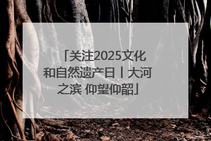 关注2025文化和自然遗产日丨大河之滨 仰望仰韶