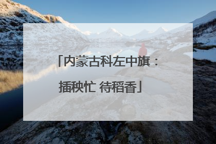 内蒙古科左中旗：插秧忙 待稻香