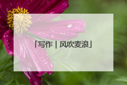 写作｜风吹麦浪