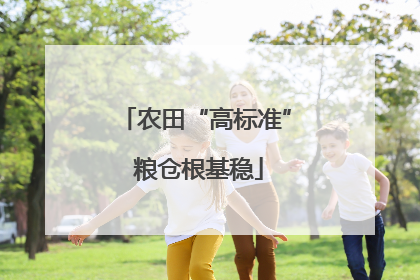 农田“高标准” 粮仓根基稳