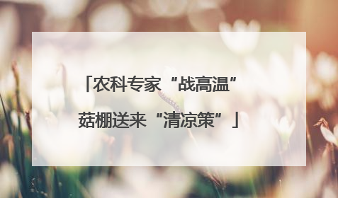农科专家“战高温” 菇棚送来“清凉策”