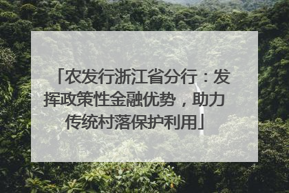 农发行浙江省分行：发挥政策性金融优势，助力传统村落保护利用