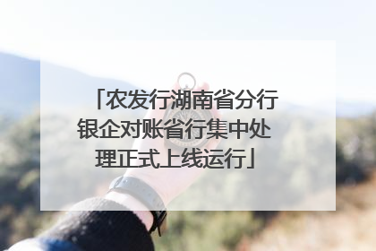 农发行湖南省分行银企对账省行集中处理正式上线运行