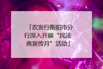 农发行衡阳市分行深入开展“民法典宣传月”活动