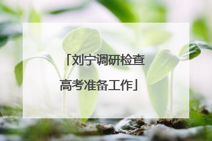 刘宁调研检查高考准备工作