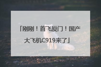 刚刚！首飞厦门！国产大飞机C919来了