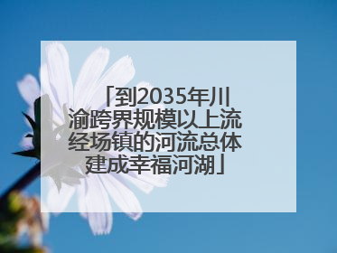 到2035年川渝跨界规模以上流经场镇的河流总体建成幸福河湖